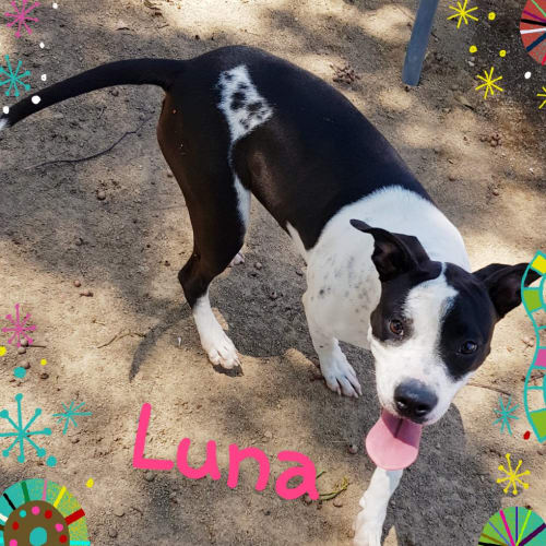 Luna (050219)