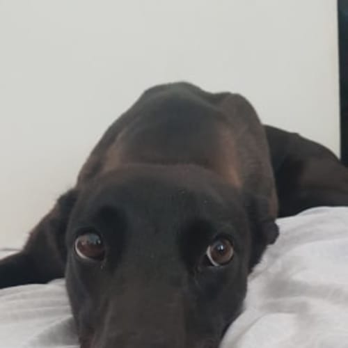 Billy
