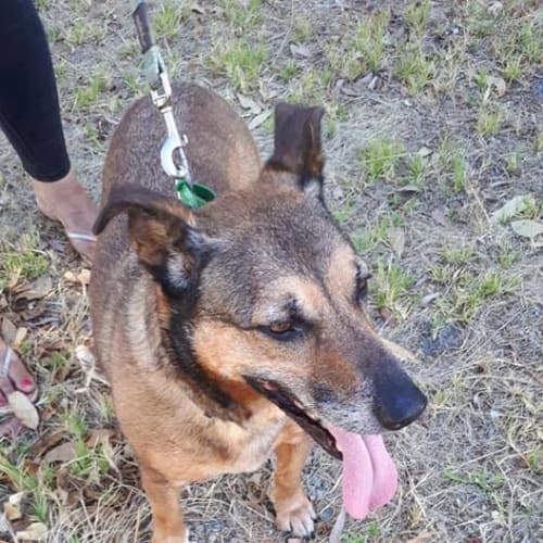 Rosie **No more inquiries please*