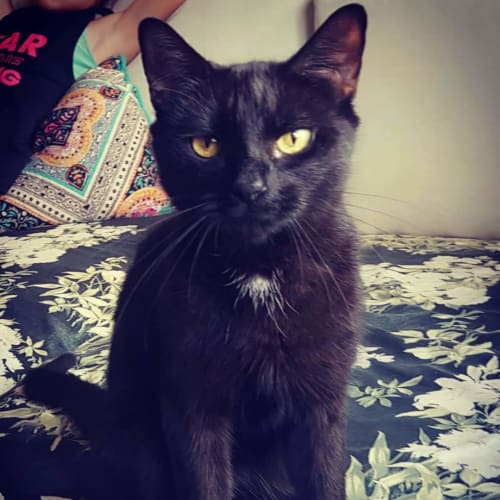 Xena