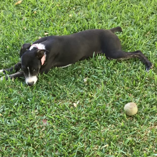Luna