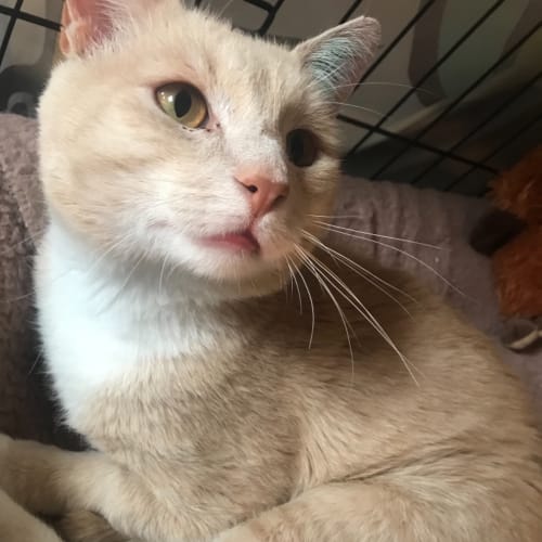 Sammy 