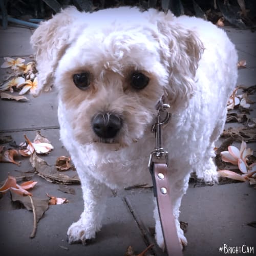 Honey ** Loving Special Girl **