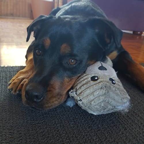 Maggie