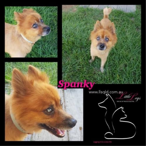 Spanky