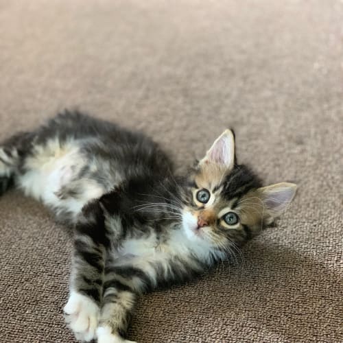 Luca 🥰