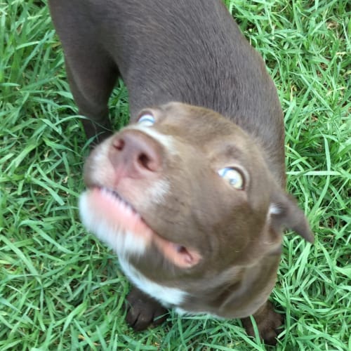 Marlee