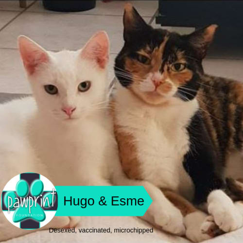 Hugo & Esme