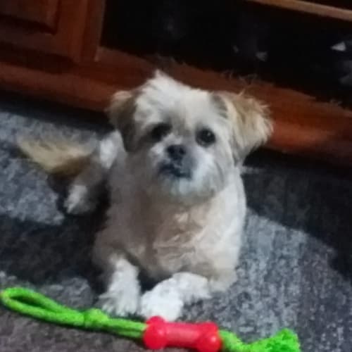 Chloe
