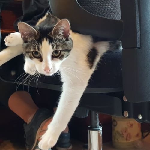 Edgar