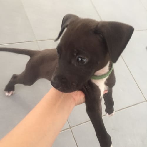 George 