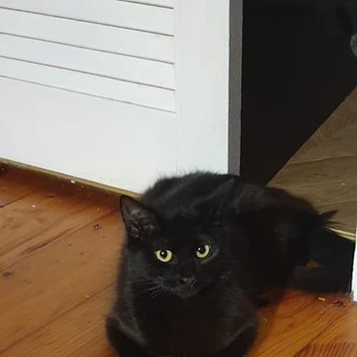 Sabrina