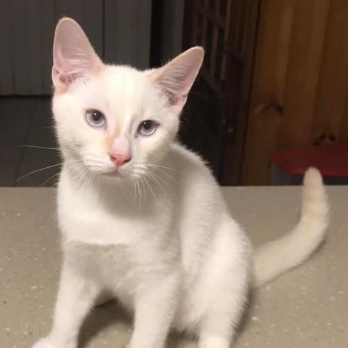 Casper