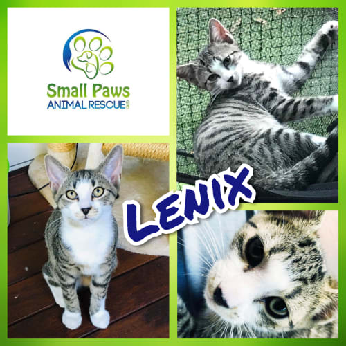 Lenix