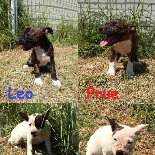 No photo for Charmed ❤️ Prue ❤️ Piper ❤️ Phoebe ❤️ Leo ❤️