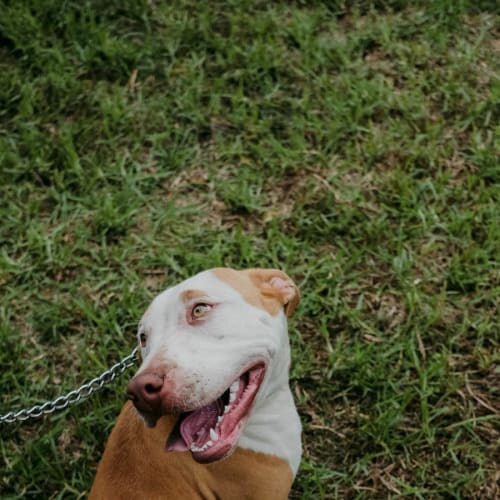 Ruby ~ Looking for love