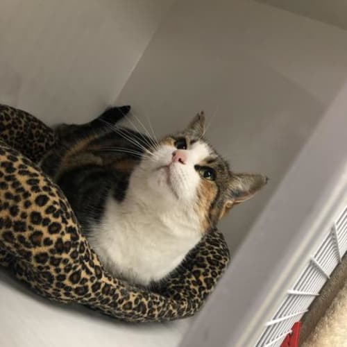Edna
