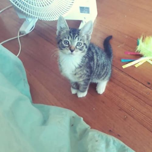 Quincy
