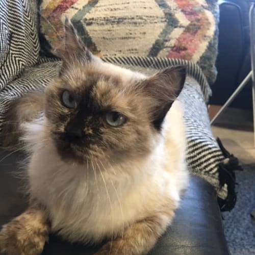 Isobelle 