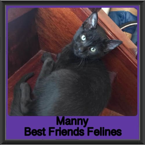 Manny