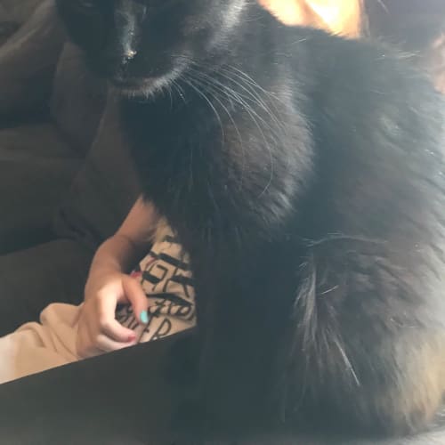Kali