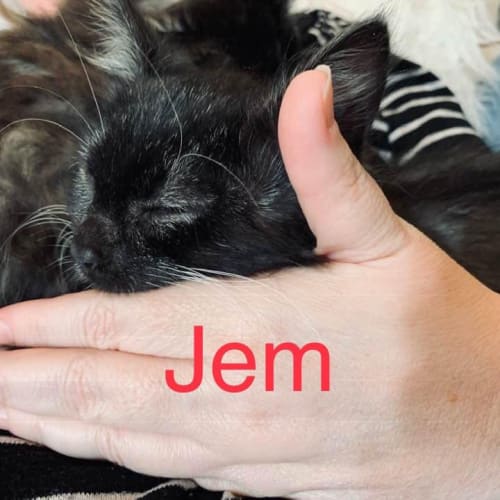 Jem