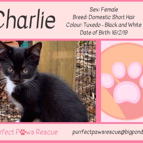 Charlie