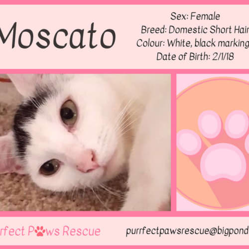 Moscato