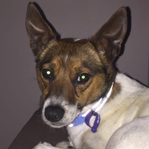 Charlie 
