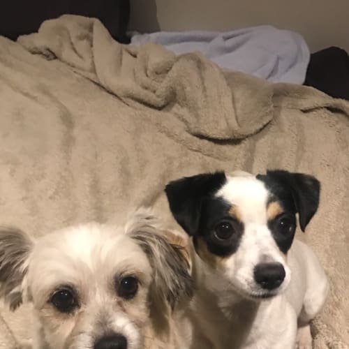 BeeGee & Ailish