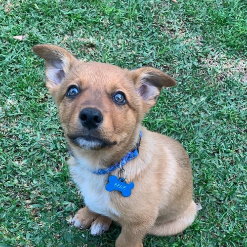 Bear ** Adorable In Every Way **