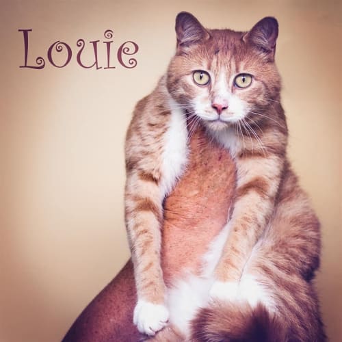 Louie