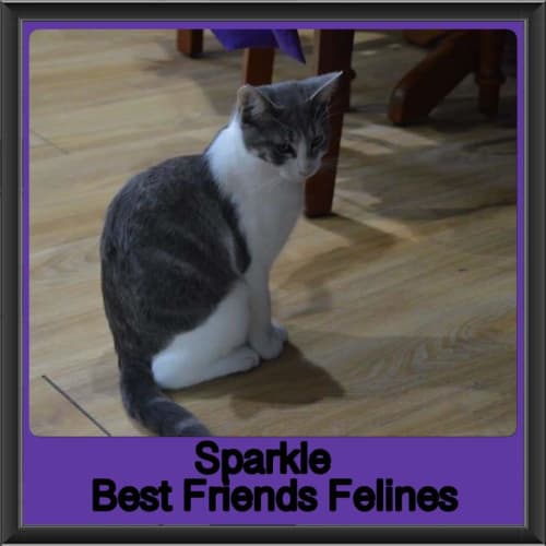 Sparkle 