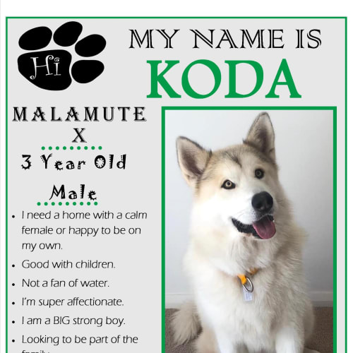 Koda