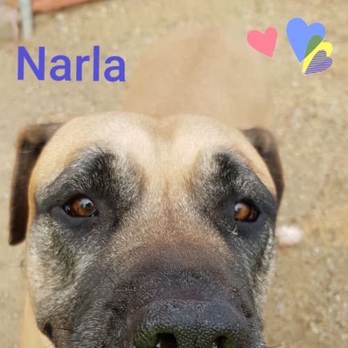 Narla