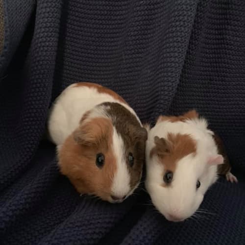 Maggie & Eloise