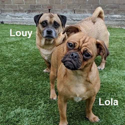 Louy and Lola