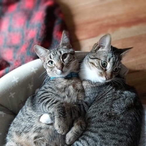 Quentin and Dick 