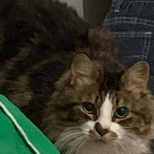Sam
