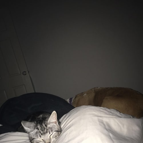 No photo for Oscar