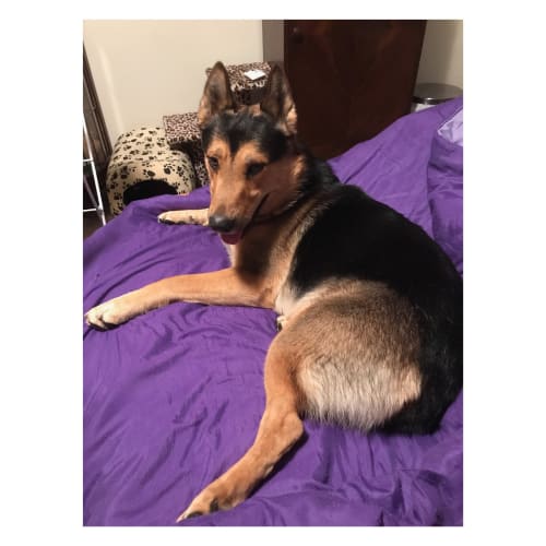 Riley - Meet and Greet organised