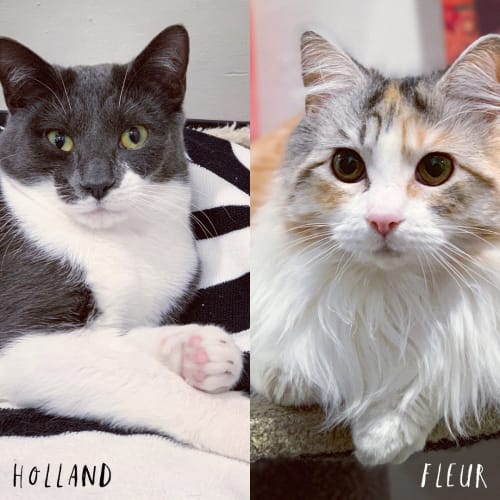 Holland & Fleur