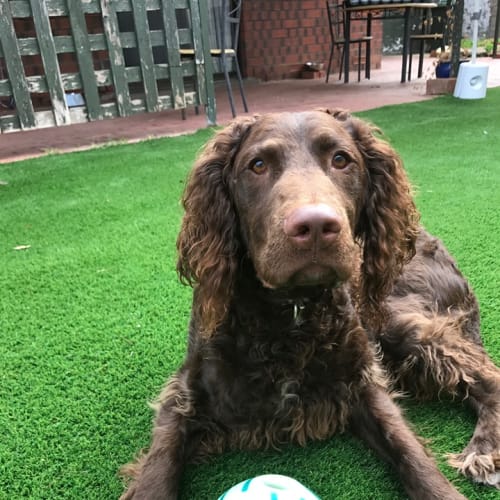 **Applications Closed** Coco