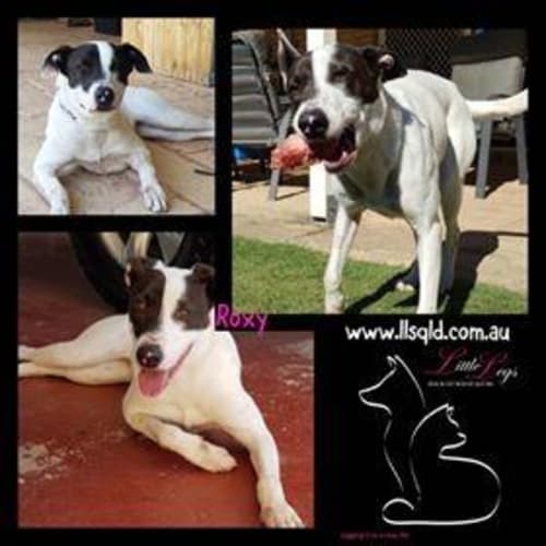 Roxy