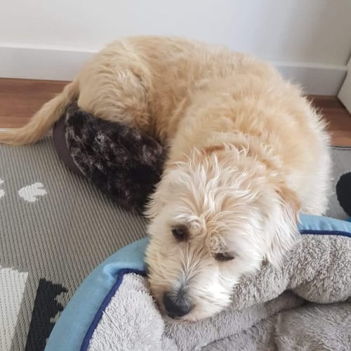 **Applications Closed** Murray