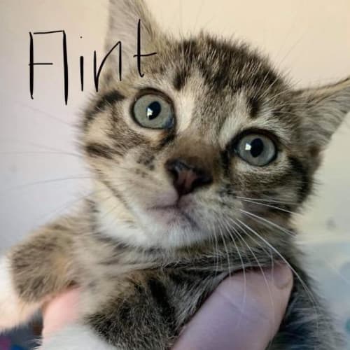 Flint