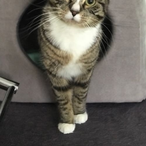 Bonnie