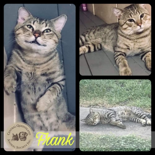 Frank