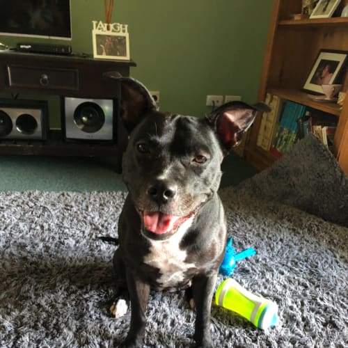 Ella