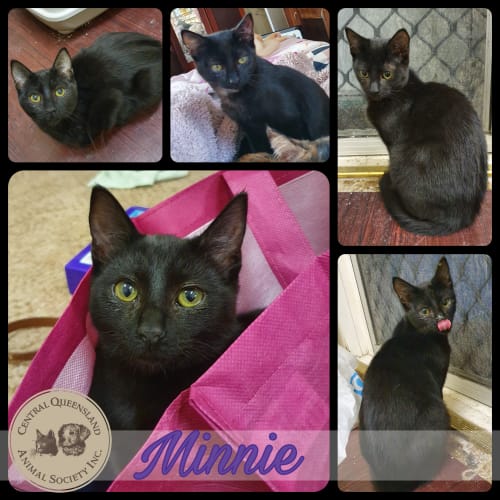 Minnie